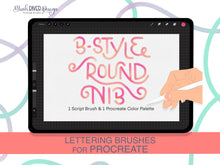 Load image into Gallery viewer, B Style Round Nib Procreate Brush
