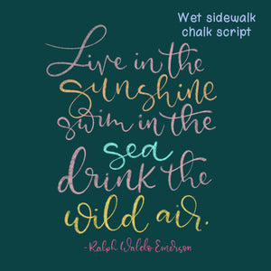 Wet Sidewalk Chalk Procreate Brush Set