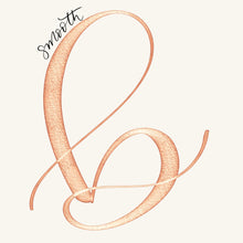Load image into Gallery viewer, Foil Script - Procreate Brushes