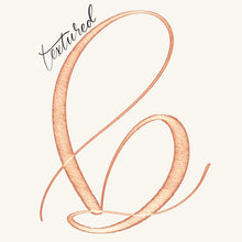 Load image into Gallery viewer, Foil Script - Procreate Brushes