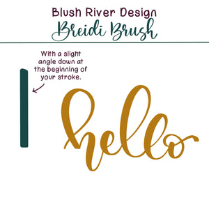 Breidi Script Procreate Brush