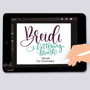 Breidi Script Procreate Brush