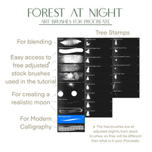 Load image into Gallery viewer, Forest At Night - Art &amp; Stamp brushes for Procreate