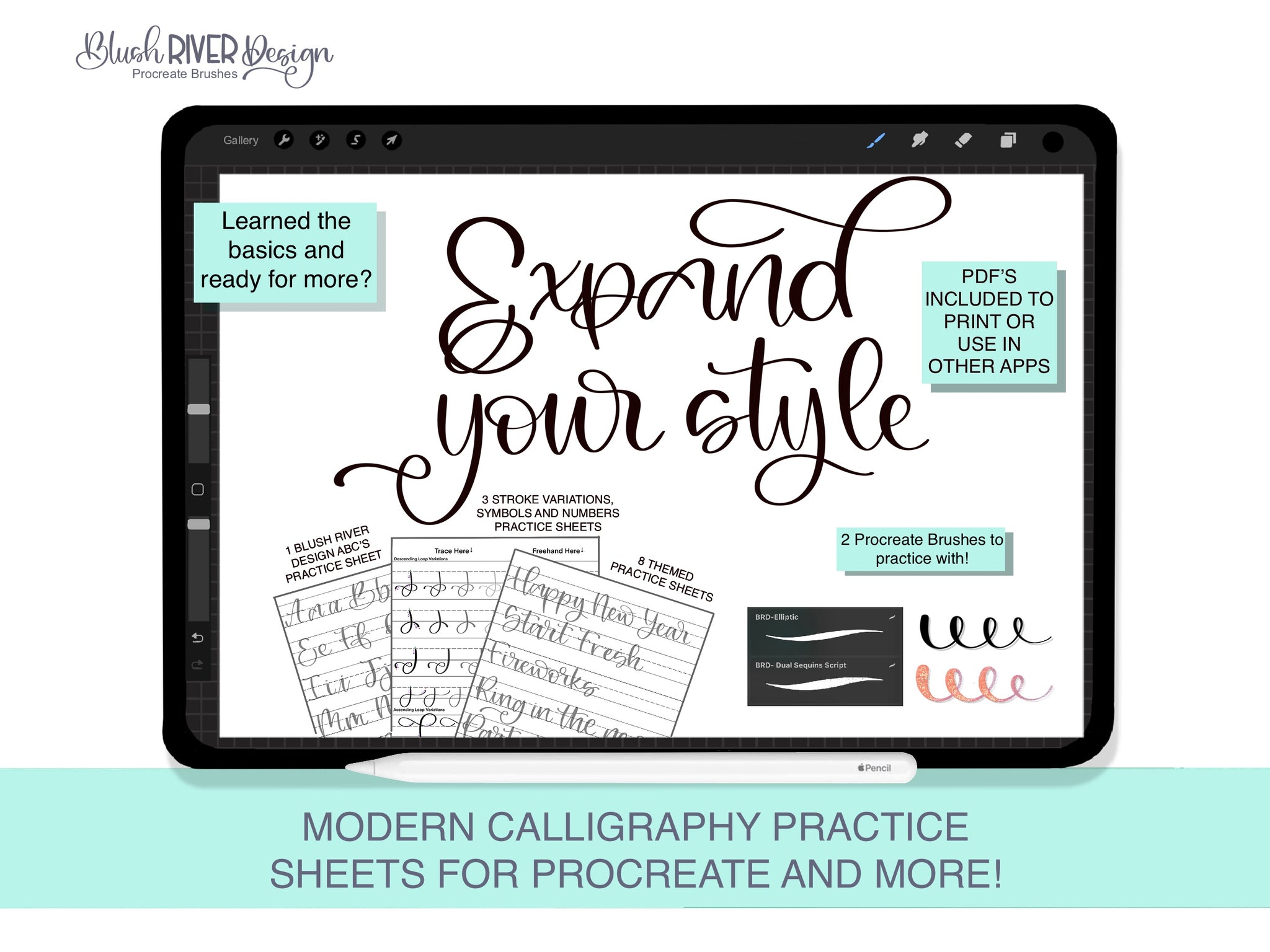 Expand Your Style - Modern Calligraphy Practice Sheets – Blush River Design