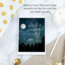 Load image into Gallery viewer, Forest At Night - Art &amp; Stamp brushes for Procreate