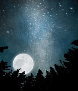Forest At Night - Art & Stamp brushes for Procreate