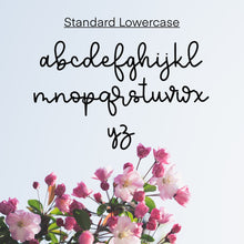 Load image into Gallery viewer, Blush River Duo Font - OTF &amp; TTF