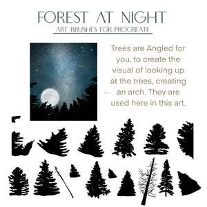 Forest At Night - Art & Stamp brushes for Procreate