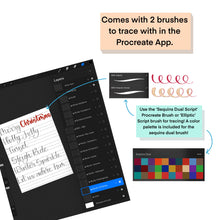 Load image into Gallery viewer, Expand Your Style - Modern Calligraphy Practice Sheets